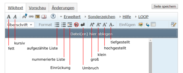 Loop seiteneditor erweitert legende short.png